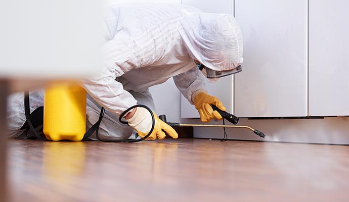 Professional in protective gear disinfecting under kitchen cabinet