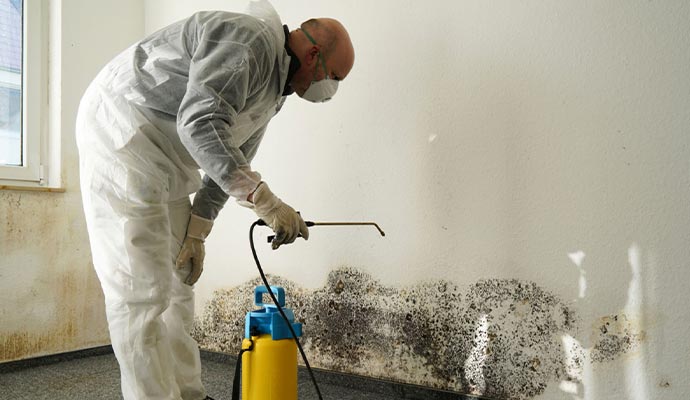 Expert removing black mold from an interior wall