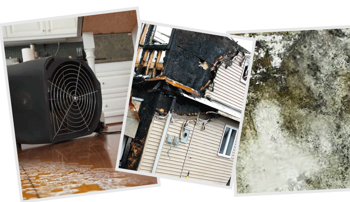 Fire Water & Mold