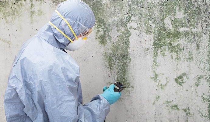 Expert wearing protective gear inspecting mold growth on an interior wall
