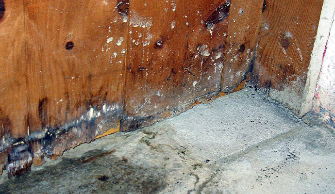 Structural water damage