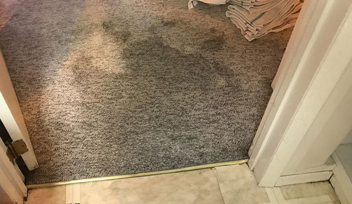 A significant dark water stain on a grey carpeted floor