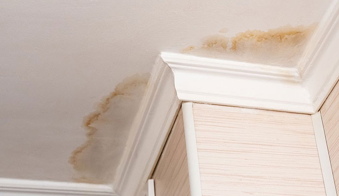 Ceiling Water Damage Restoration Services in Billings