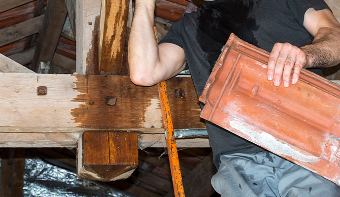 Water damaged ceiling attic