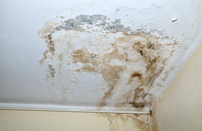 Mold on the ceilling