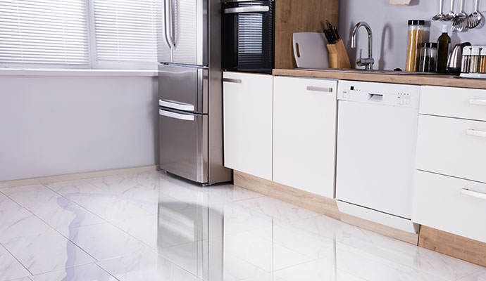 Professional Refrigerator Leak Cleanup in Billings and Laurel